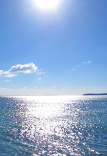 海の近くの物件情報